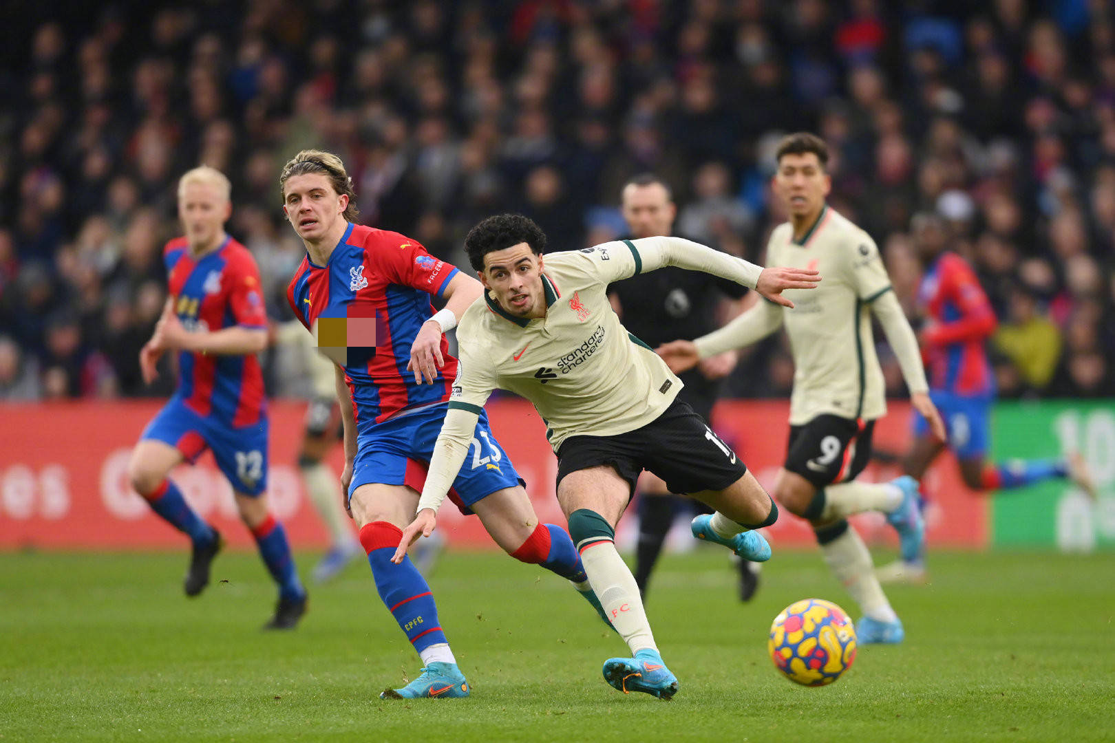 表达对凯帕 表达对凯帕